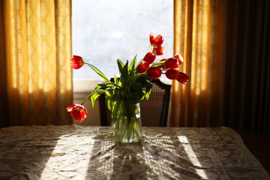 A bouquet of red flowers in a vase in front of a window with light beginning to come in. This represents the key signs that Wellbutrin is starting to work.