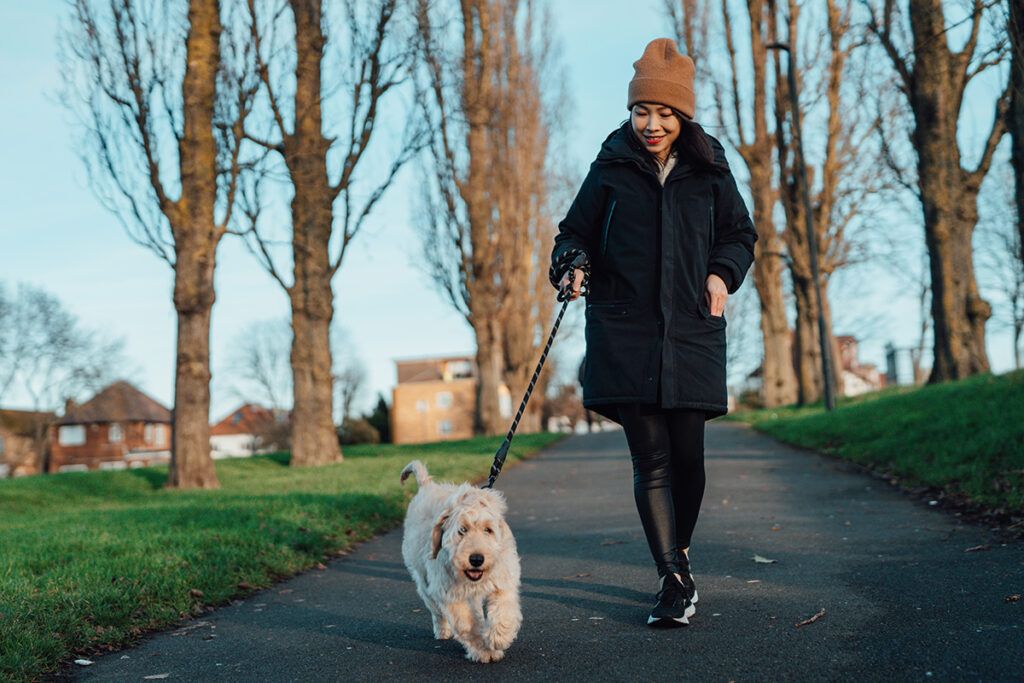 A young adult outside walking a dog, showing the benefits of statins for your health.