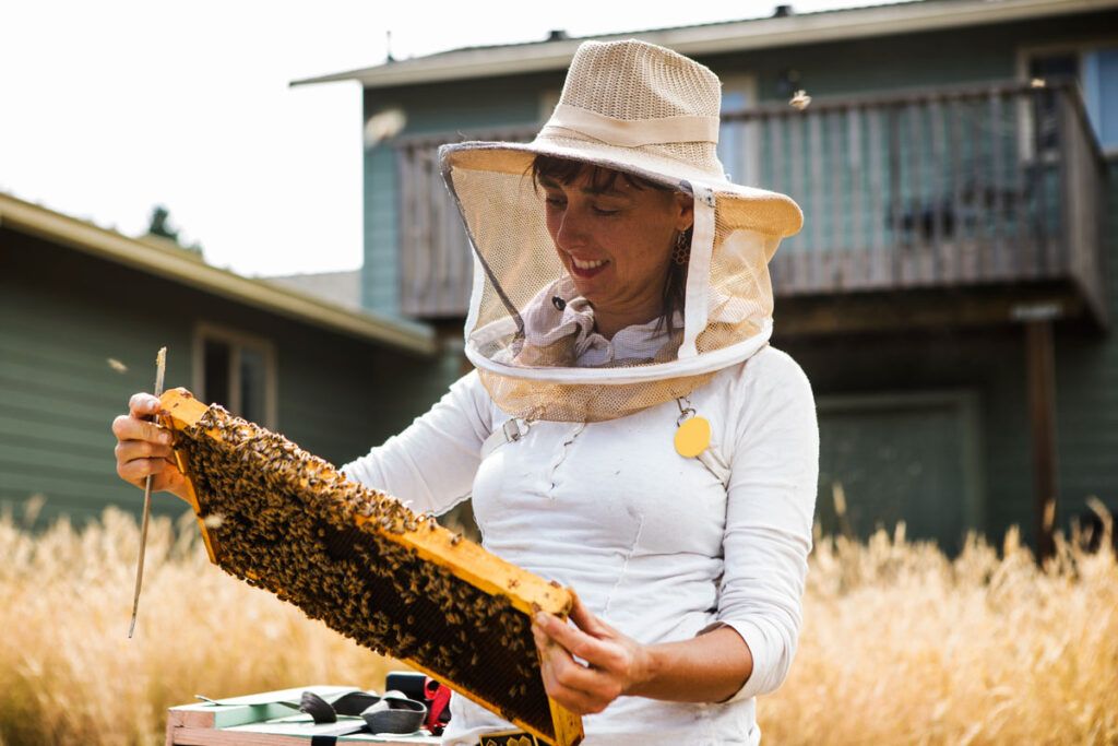 A beekeeper looking at honeycomb covered in bees, a common allergy and reason for an EpiPen.