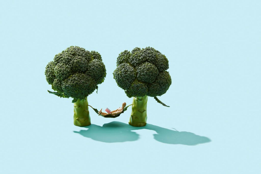 Wooden figure laying in a hammock supported by 2 broccolis to depict what benefits vegetables can have on our bodies