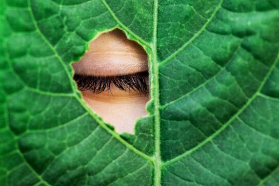 A close up of a large leaf with a hole in it and a persons closed eye covering the hole from behind the leaf depicting is latisse covered by health insurance