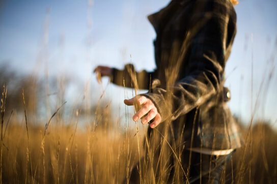 Close up of a person walking through a field touching the long grass with outstretched arms possibly having taken antihistamines to prevent allergies and wondering whether antihistamines cause weight loss