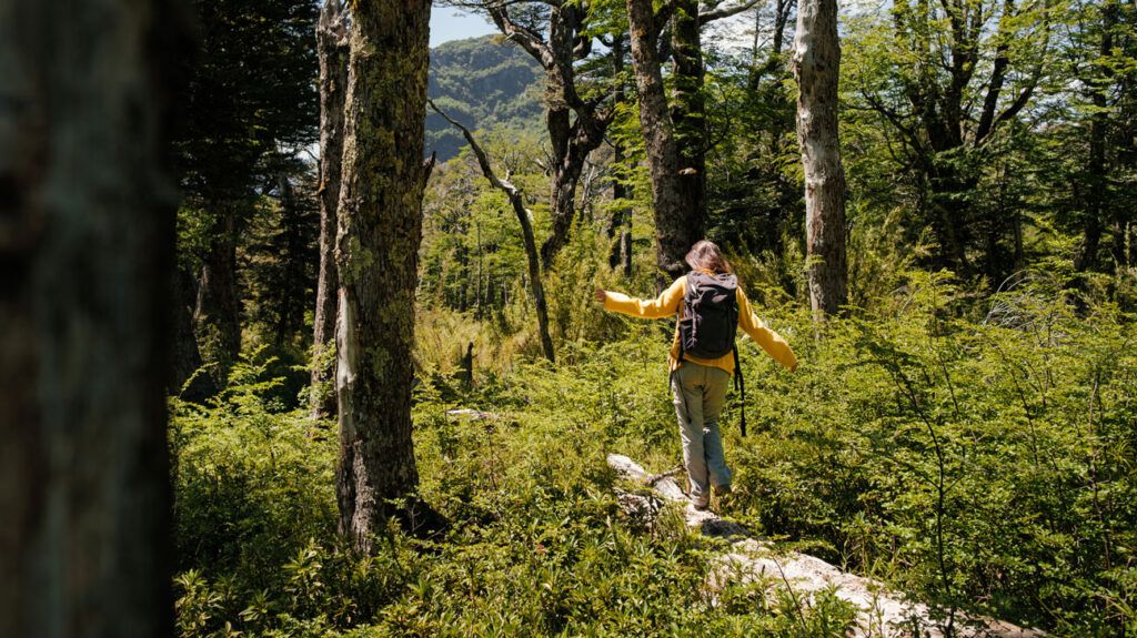 A person hiking in the woods, avoiding poison ivy.